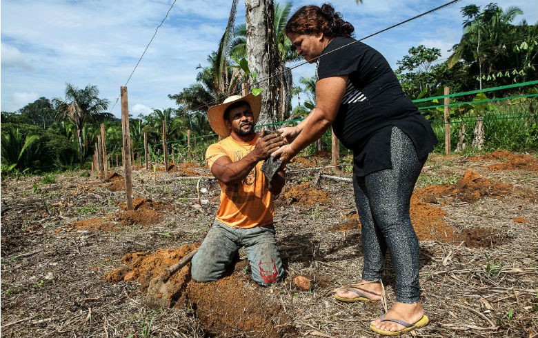 Osvalinda e Daniel colhem frutas e plantam no sítio Nova Esperança, onde são ameaçados de morte por madeireiros. LILO CLARETO/REPÓRTER BRASIL 