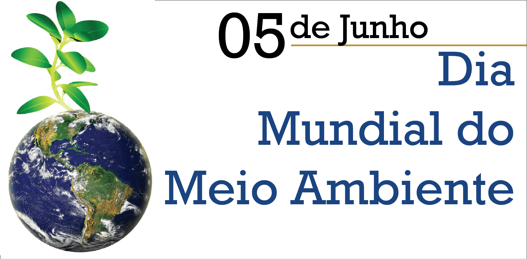 Sustentabilidade ambiental: a distorção da agenda para ...