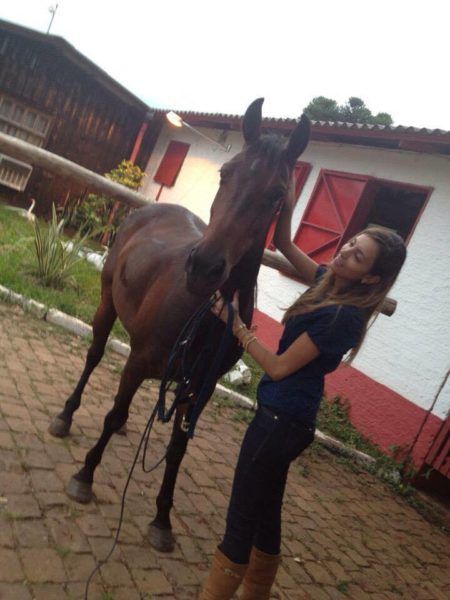 O Abate de Cavalos no Rio Grande do Sul