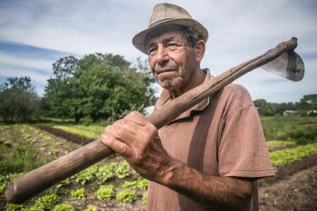 Eliseu Rosa da Silva, conhecido como Juca, foi um dos primeiros agricultores de Porto Alegre a plantar orgânicos. Foto: Guilherme Santos/Sul21