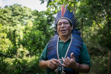 A ancestralidade como resistência: aldeias guarani cultivam sementes, mudas, cultura e conhecimento