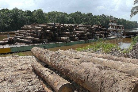 Desmatamento na Amazônia está próximo de atingir estágio irreversível