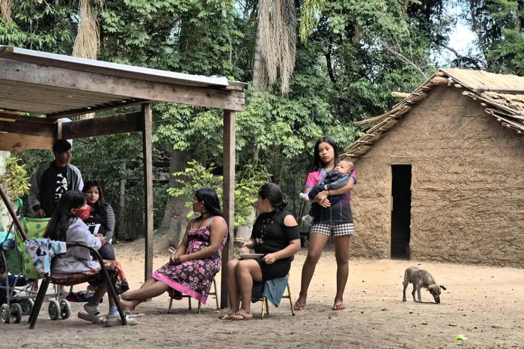 Mbya Guarani denunciam invasão de terra indígena no Lami para construção de  loteamentos irregulares - Sul 21