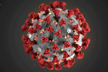 Nova variante do coronavírus descoberta na África causa preocupação entre cientistas