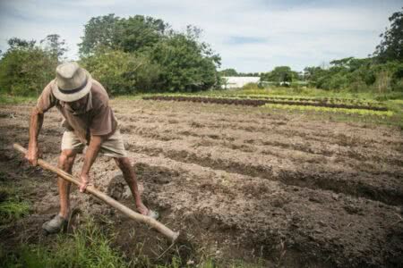 Bolsonaro manipula dados em propaganda sobre titulação de terras para agricultores