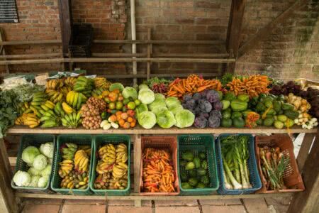 Agroecologia promove acesso à alimentação (por FLD-COMIN-CAPA)
