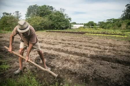 Após derrubada de veto, governo sanciona lei que garante auxílio emergencial para agricultor familiar