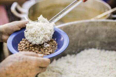 Aumento da temperatura vai afetar a produção de feijão no Brasil