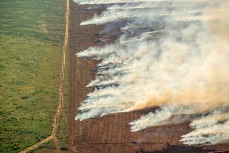 Incêndios no Brasil estão ligados ao agronegócio e ao avanço da fome, diz dossiê