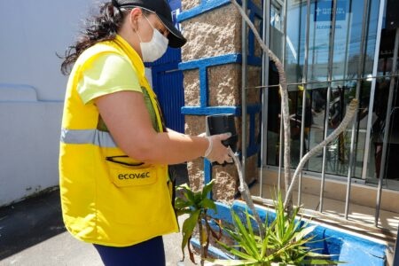 Porto Alegre: Vigilância emite alerta epidemiológico para dengue, zika e chikungunya
