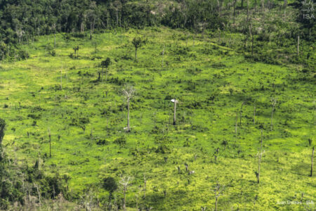 Desmatamento na Terra Indígena Ituna/Itatá. (Foto: Juan Doblas/Instituto Socioambiental)