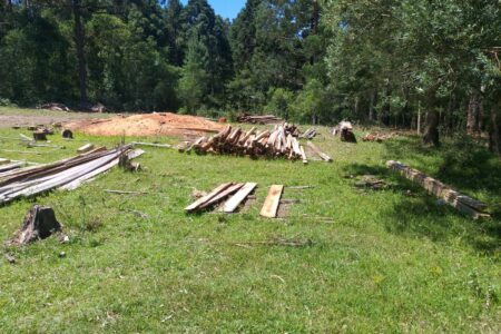 Mbya Guarani encontraram madeira serrada em forma de tábuas, caibros, barrotes e palanques na área da retomada (Arquivo pessoal)