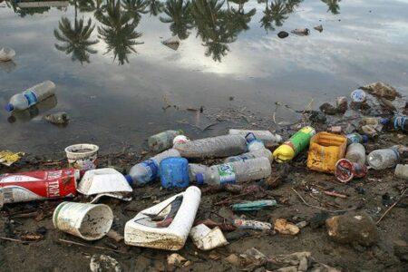 Plástico corresponde a 48,5% dos itens encontrados no mar do Brasil