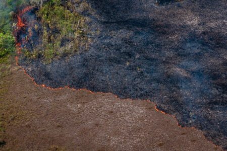 Brasil teve 2,15 milhões de hectares queimados no primeiro semestre