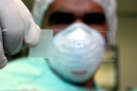 RS registra primeira morte por dengue em 2024