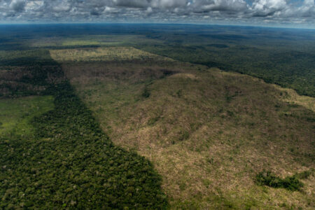 Primeiro semestre de 2022 registra recorde de desmatamento na Amazônia