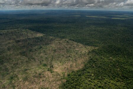 O município de Lábrea, no sul do Amazonas, é um dos líderes de desmatamento de agosto a dezembro de 2022. Foto: Christian Braga/Greenpeace