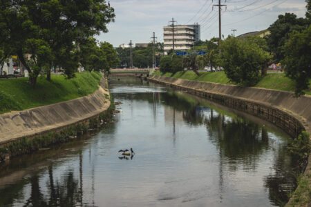 Curta resgata histórico do arroio Dilúvio, o ‘riacho que a cidade esqueceu’