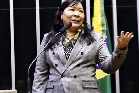 Primeira indígena eleita deputada federal, Joênia Wapichana chefiará a Funai  