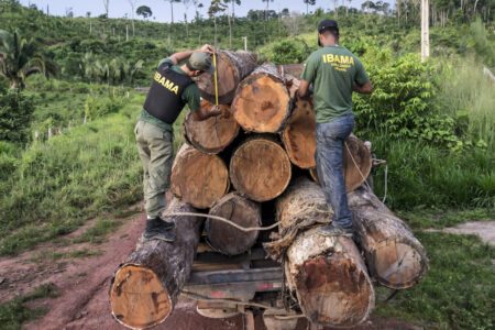Prévia do Inpe indica recorde de alertas de desmate na Amazônia em fevereiro