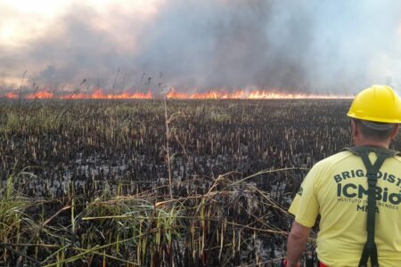 Incêndio no Taim atinge área equivalente a cerca de 2,5 mil campos de futebol