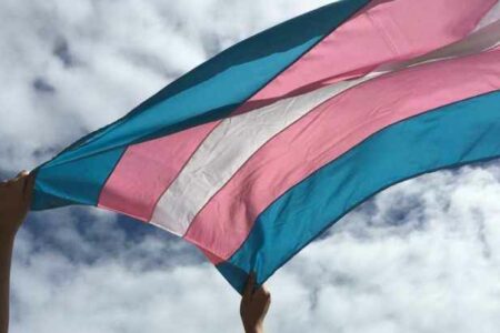 Projeto em benefício de pessoas trans foi protocolado na AL-RS nesta quinta-feira (1º). Foto: Reprodução/UFMG