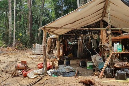 Terra Yanomami: garimpo causou alta de 309% no desmatamento durante o governo Bolsonaro