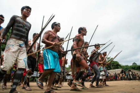 Terra Indígena Ajarani - Yanomami (Foto: Mário Vilela/Funai)