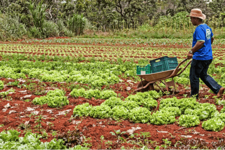 Bioinsumos na agricultura: um novo pacote ou autonomia? (por José Luis Rodrigues e Mauricio Piccin)