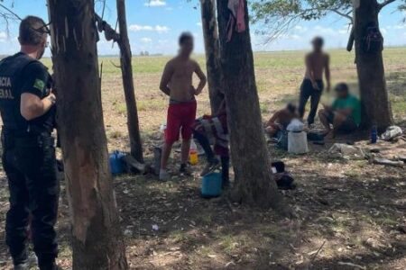Sobe para 82 número de resgatados em trabalho análogo à escravidão em Uruguaiana