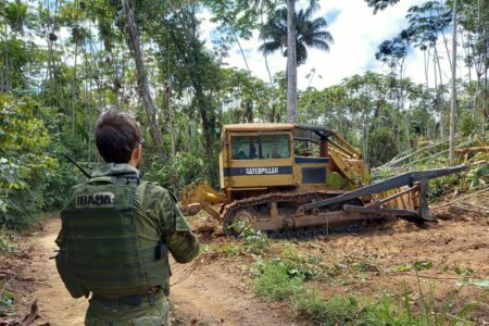 Operação foi deflagrada na primeira quinzena de fevereiro. Foto: Ibama/Divulgação
