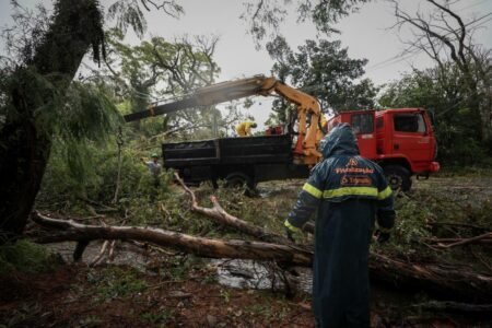 Na Capital, ciclone derrubou muitas árvores. Foto: Rodger Timm/ PMPA