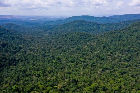Amazônia Oriental, região da Floresta Nacional de Carajás. (Foto: TV Brasil)