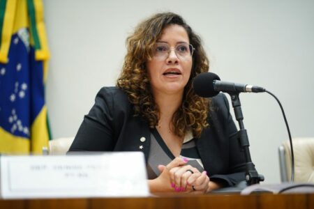 Denise Pessoa (Foto: Pablo Valadares / Câmara dos Deputados)