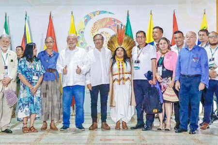 Carta em defesa de um Plano de Integração Cultural da Amazônia