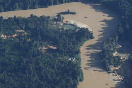 Cúpula da Amazônia: acordo deve evitar ponto de não retorno da maior floresta tropical do mundo