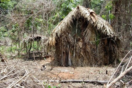 Observatório lança plataforma para proteger indígenas isolados