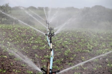 Agricultura irrigada: um rio de oportunidades perdidas (por SENGE-RS)