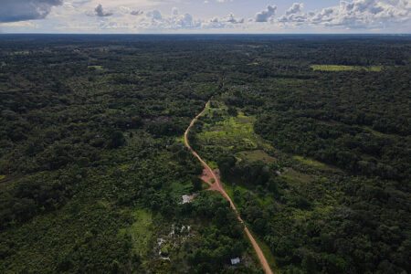 Dos 5 milhões de quilômetros quadrados da Amazônia Legal, quase 1,5 milhão não têm destinação informada pelo poder público | Foto: Bruno Kelly/Amazônia Real