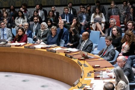 Reunião do Conselho de Segurança da ONU em Nova York. Foto: UN Photo/Manuel Elías