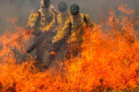 Situação no Cerrado deve piorar nos próximos meses com o aumento das temperaturas durante o verão, favorecendo focos de incêndio. Foto: Joédson Alves/Agência Brasil
