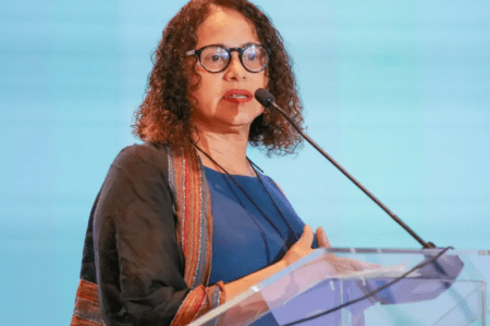 Ministra da Ciência, Tecnologia e Inovação, Luciana Santos, (Foto: Fábio Rodrigues Pozzebom/Agência Brasil)