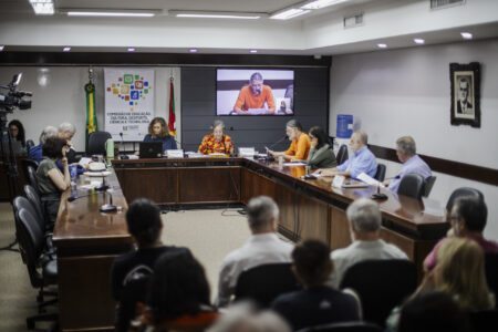 Audiência foi promovida pela deputada estadual Sofia Cavedon (PT). | Foto: Luiza Castro/Sul21