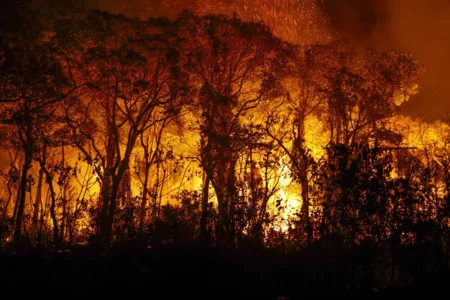 Tempo seco e onda de calor favorecem queimadas na região. Foto: Joédson Alves/Agência Brasil