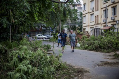 Dias após a forte tempestade que ocorreu na Cidade, diversos bairros ainda sofriam com árvores e postes caídos pelas vias, além da falta de água e luz. Foto: Luiza Castro/Sul21
