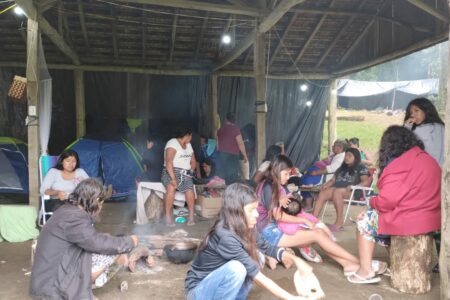 Indígenas dizem que 27 famílias fazem parte da retomada Guarani Mbyá Nhe'engatu, em Viamão | Foto: Arquivo Pessoal