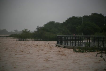 Nível do Guaíba voltou a superar cota de inundação. Foto: Isabelle Rieger/Sul21