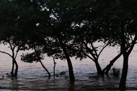 Mudanças climáticas e o novo anormal (por Márcia Barbosa, Pedro Costa e Rita de Cássia Alves)